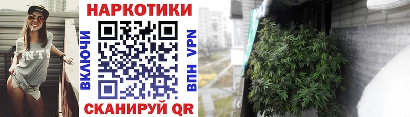 Купить МАРИХУАНА  КОКАИН  СОЛЬ  МЕФ  Бологое