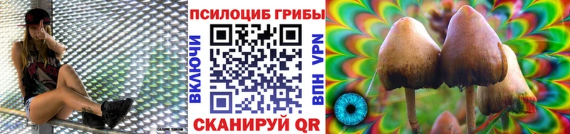 Купить закладки  Бологое  Галлюциногенные грибы ЛСД 